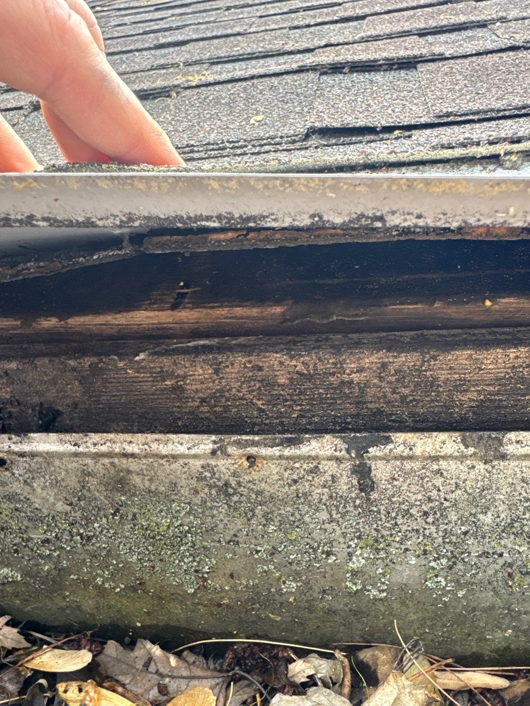 Where Do Commercial Roofs Leak? Top Failure Points for Connersville Owners